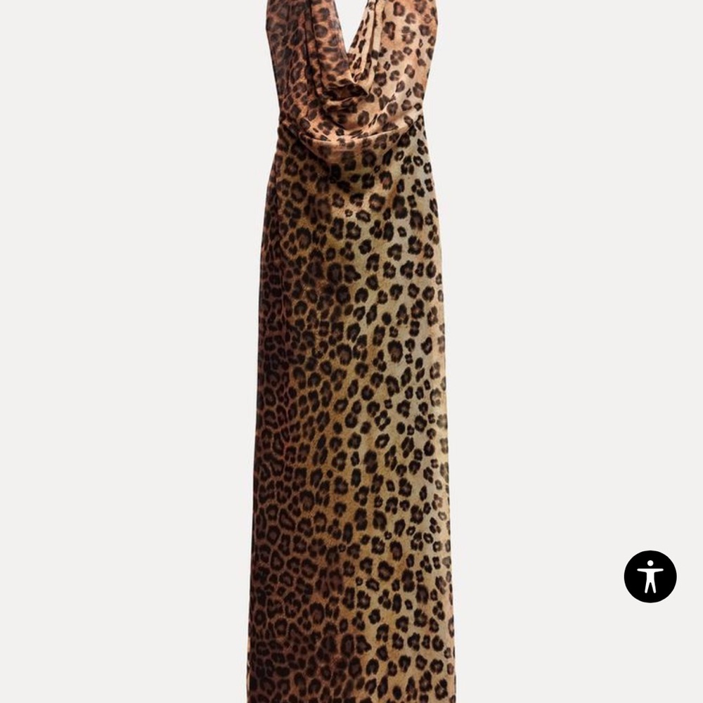 Zara Dress